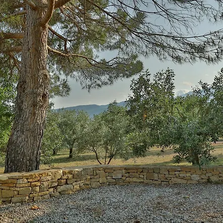 Villa οlives And Vines Seasons *
