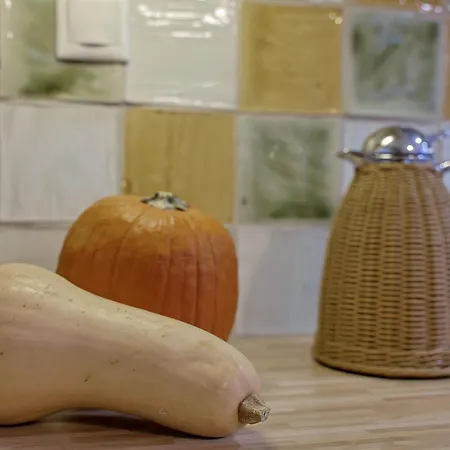 οlives And Vines Seasons Litóchoron