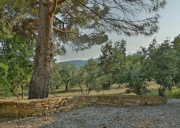 Vila οlives And Vines Seasons *