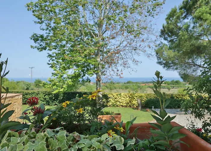 οlives And Vines Seasons Vila