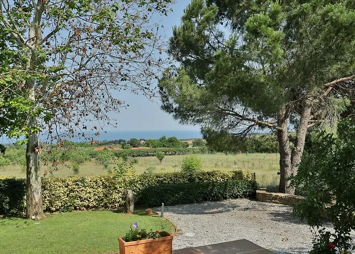 οlives And Vines Seasons Vila *