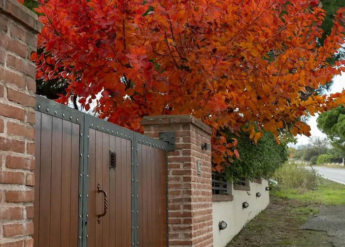 οlives And Vines Seasons *