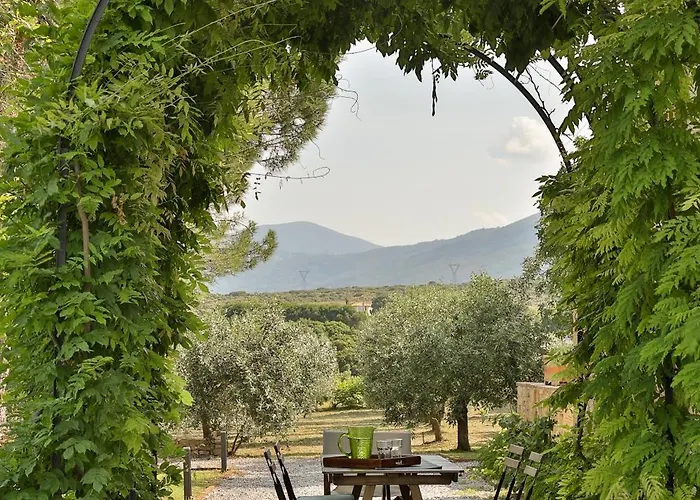 Vila οlives And Vines Seasons *