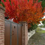 οlives And Vines Seasons *