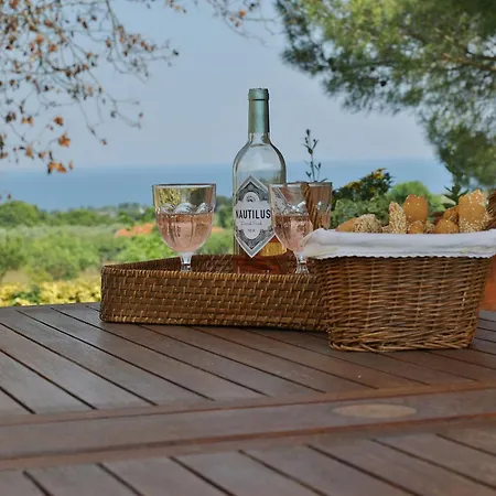 οlives And Vines Seasons * Litochoro
