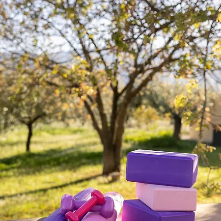 Villa οlives And Vines Seasons Litochoro