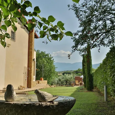 Villa οlives And Vines Seasons *