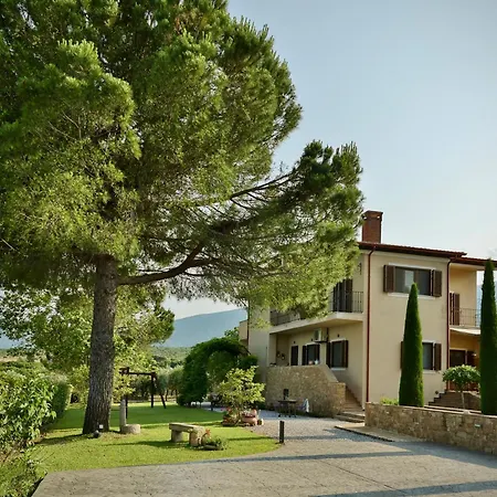 οlives And Vines Seasons * Litochoro