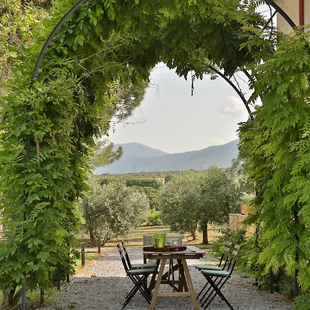 οlives And Vines Seasons * Litochoro