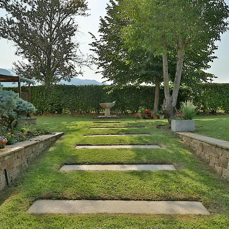 Οlives And Vines Retreat Villa Litochoro