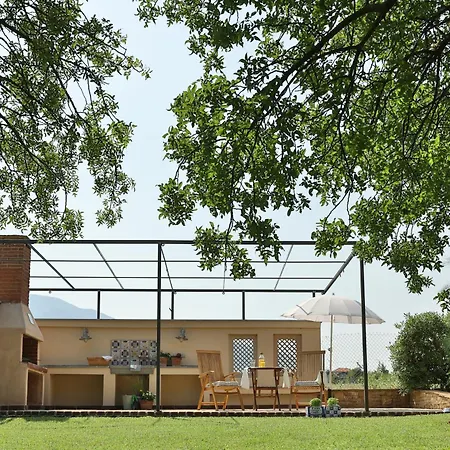 Οlives And Vines Retreat Villa