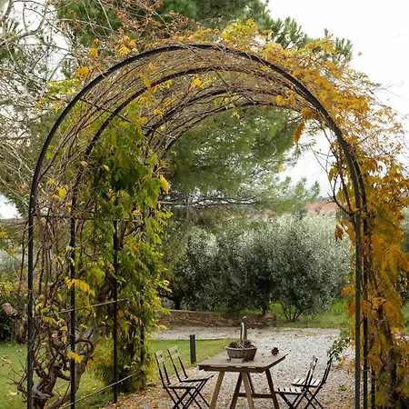 Villa Οlives And Vines Retreat Villa Litochoro