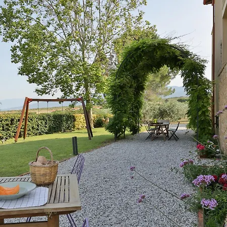 οlives And Vines Seasons 리토코론