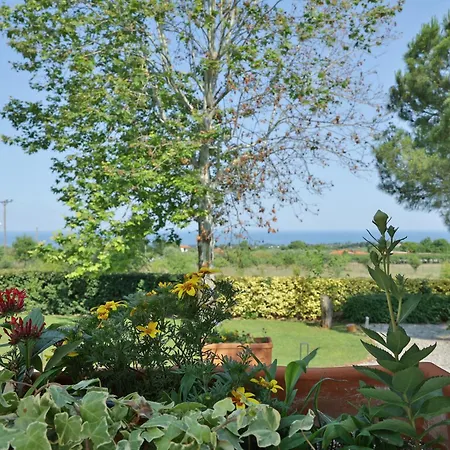 Οlives And Vines Retreat Villa Villa