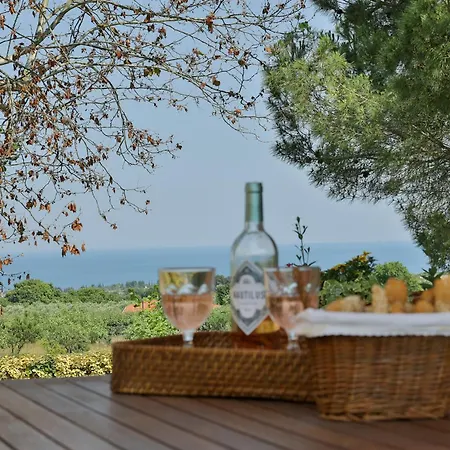 Οlives And Vines Retreat Villa Villa