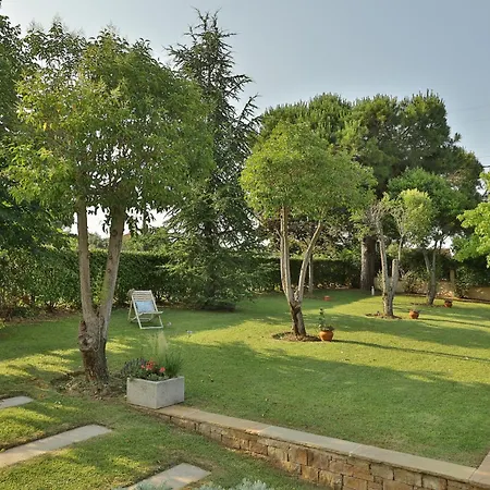 Οlives And Vines Retreat Villa * Litochoro