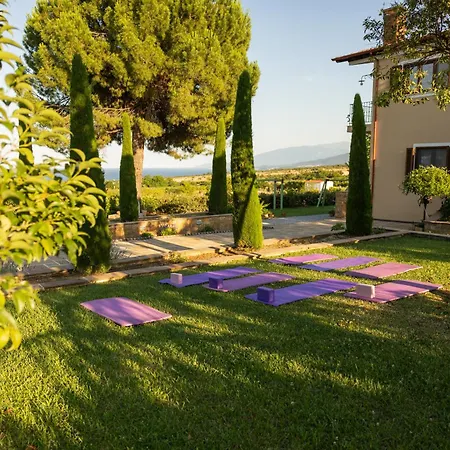 οlives And Vines Retreat * Литохоро