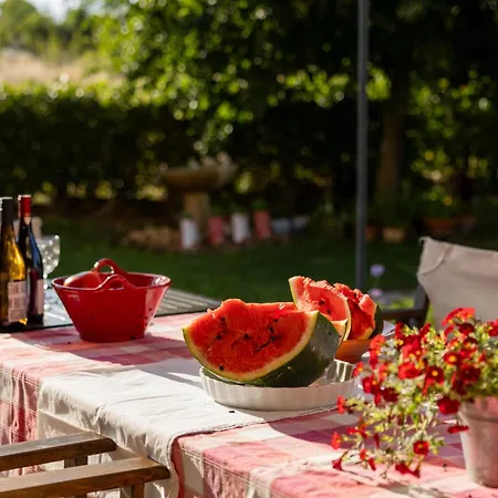 οlives And Vines Retreat Вилла