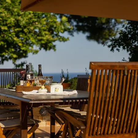 οlives And Vines Retreat Литохоро