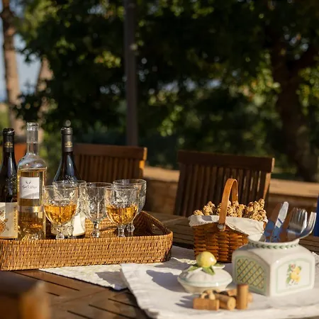 οlives And Vines Retreat Вилла *