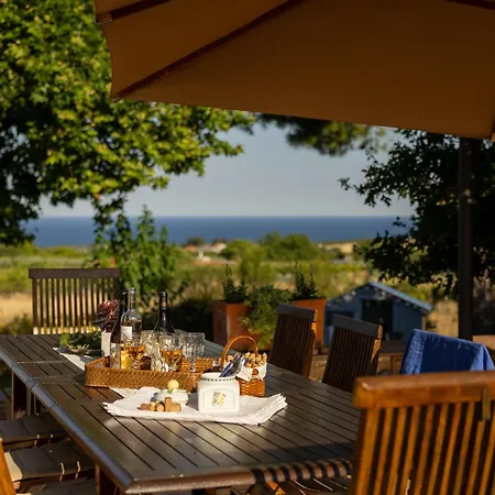 οlives And Vines Retreat *