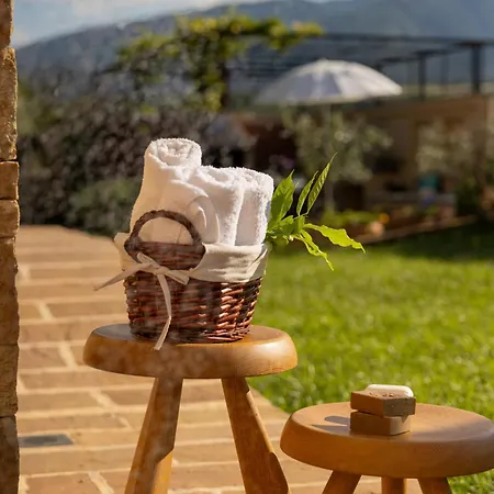 οlives And Vines Retreat Литохоро