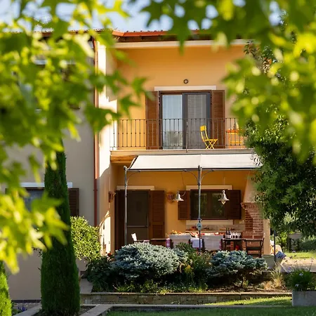 οlives And Vines Retreat