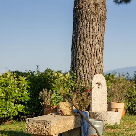 οlives And Vines Retreat Вилла