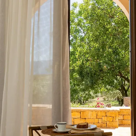 οlives And Vines Retreat