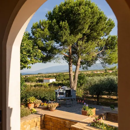 οlives And Vines Retreat