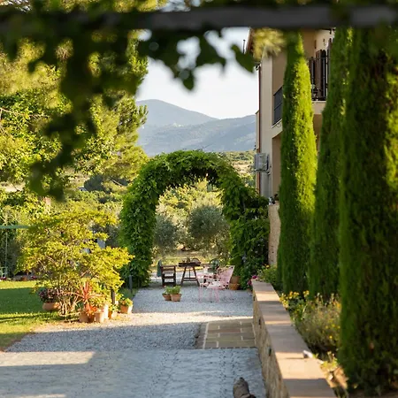 οlives And Vines Retreat Вилла
