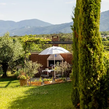 οlives And Vines Retreat Вилла
