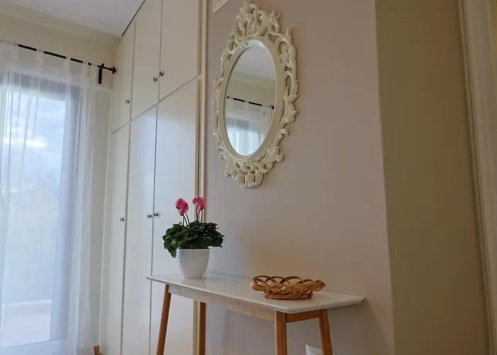 οlives And Vines Seasons Litochoro