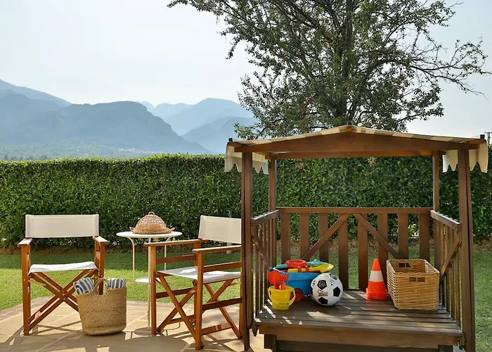 οlives And Vines Seasons Litochoro