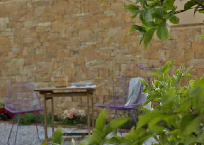 οlives And Vines Seasons Litochoro