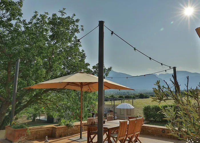 οlives And Vines Seasons