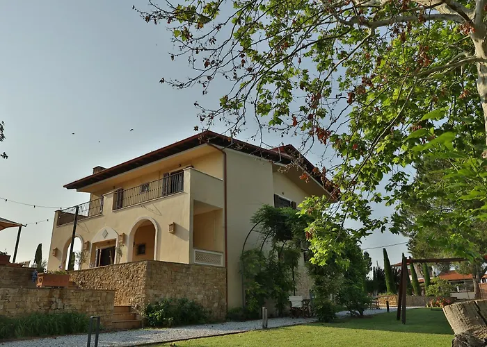 οlives And Vines Seasons